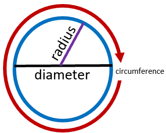 Radius, Diameter, and Circumference Visual