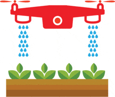 A Watering System
