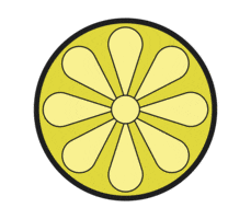 A Lemon Slice